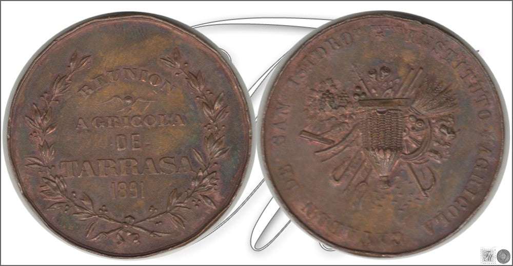 España - 1891 - Medalla - BC / F - Reunion Agricola de Tarrasa año 1891 / 41,30 gr. Cu