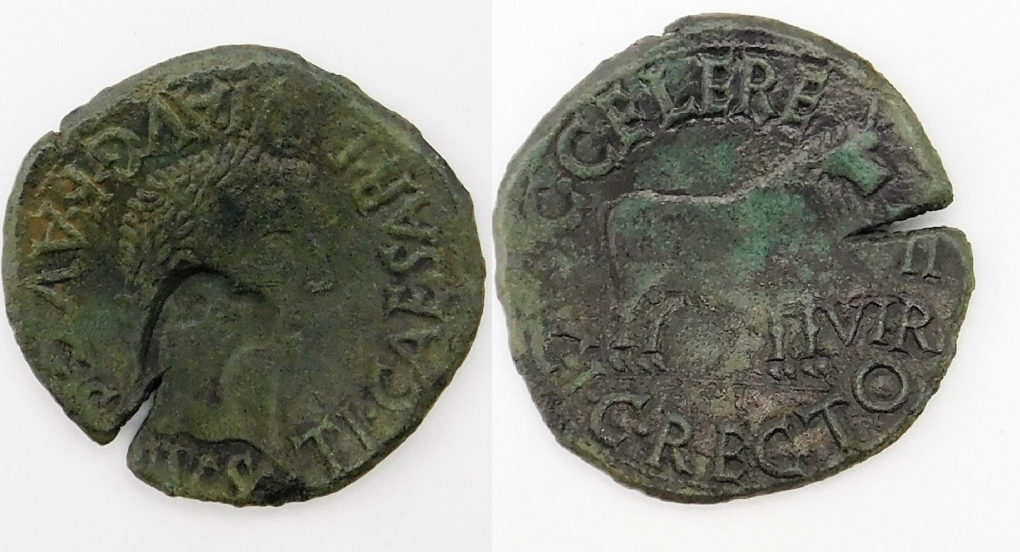 Mundo Antiguo - Ibero Romanas - Nº ACIP-3130 - EBC+ / XF+ - AS Tiberio CALACURRIS / A TI CAESAR DIVI AUGI F AUGUSTUS -R/ CMCI C